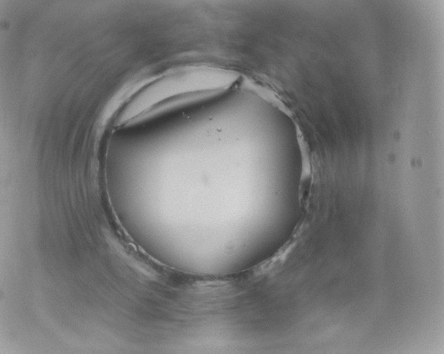 X0000074930150200609291806