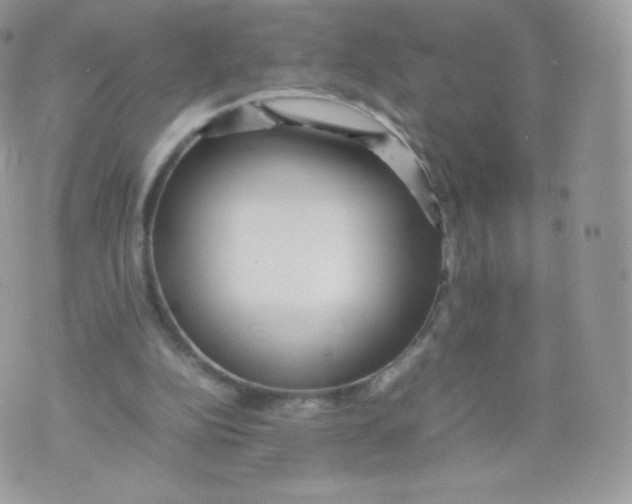 X0000074930152200609291806