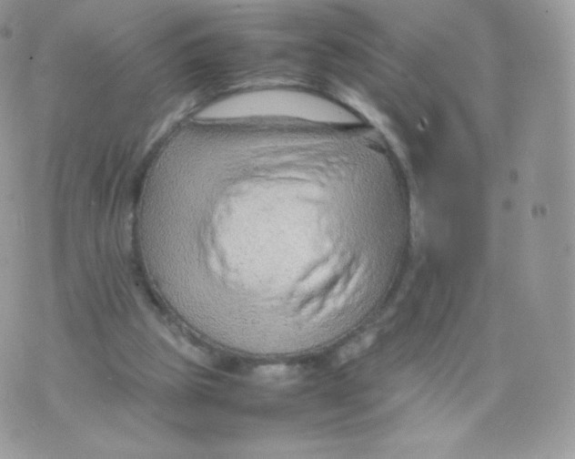 X0000074930153200609291806