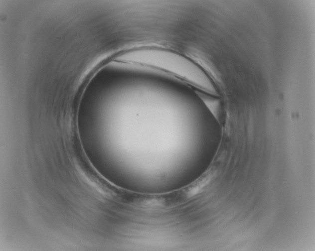 X0000074930156200609291806