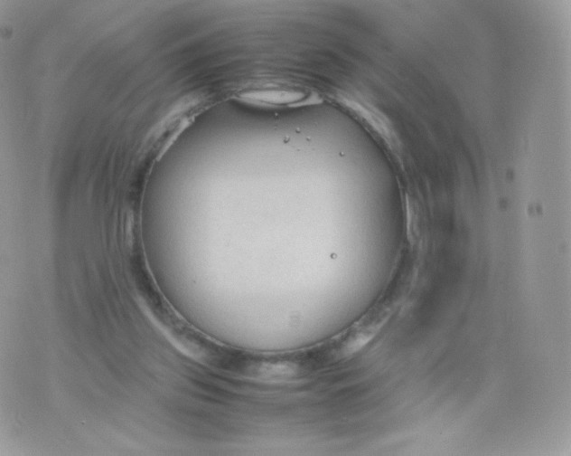 X0000074930157200609291806