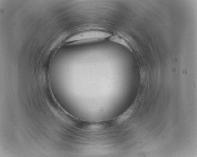 X0000074930158200609291806