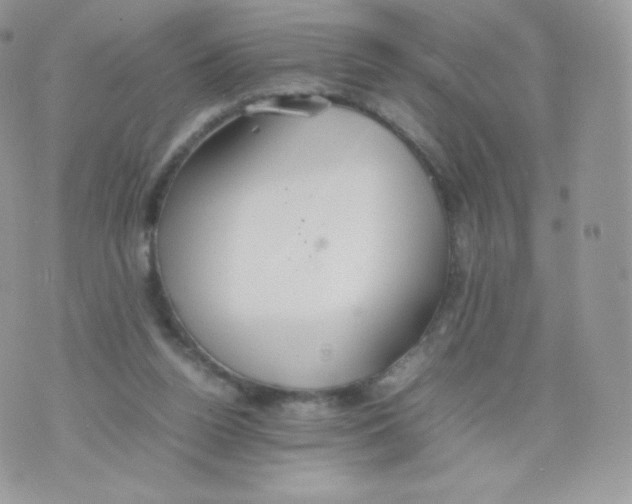 X0000074930160200609291806