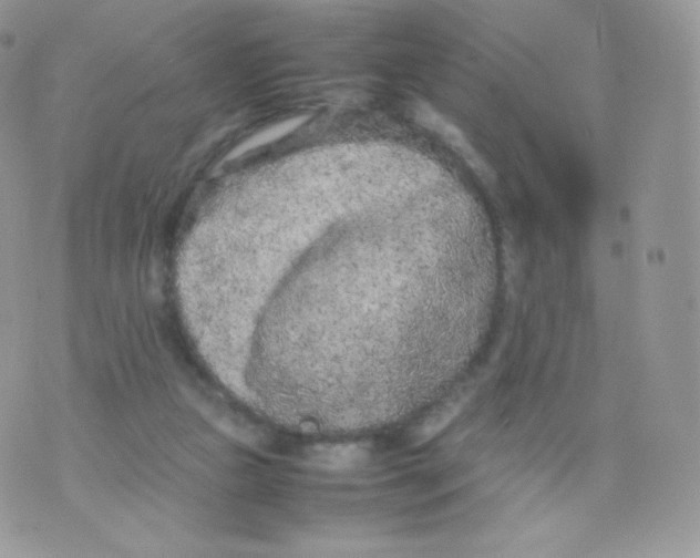 X0000074930161200609291806