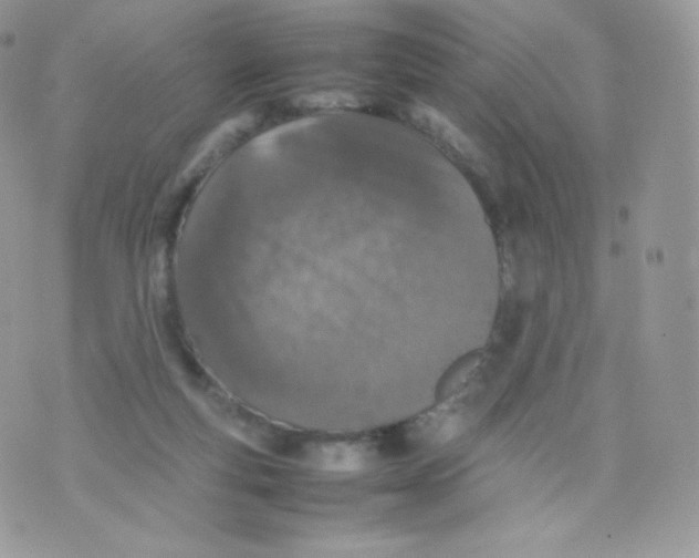 X0000074930163200609291806