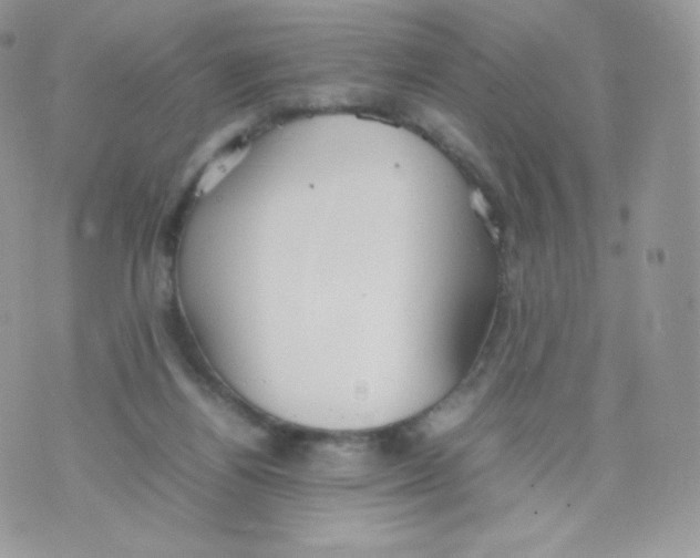 X0000074930164200609291806