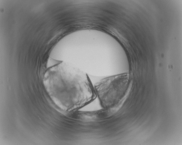 X0000074930165200609291806