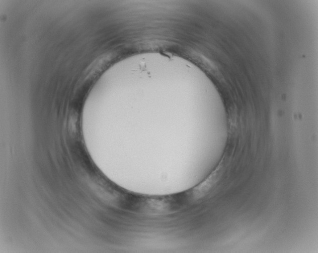 X0000074930166200609291806