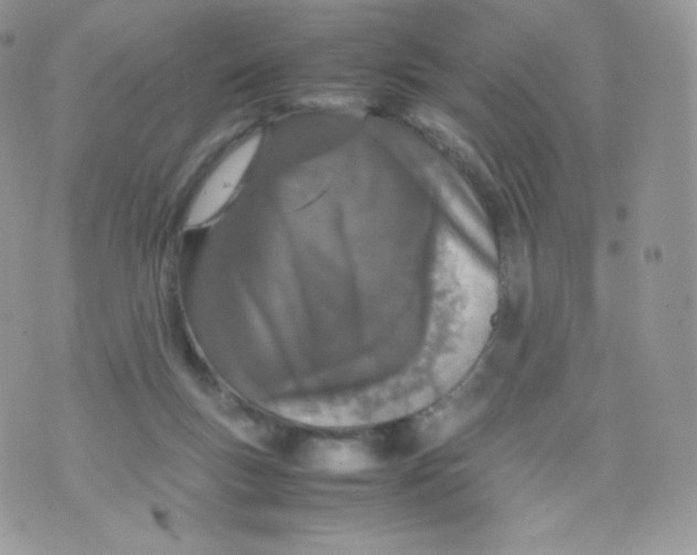 X0000074930167200609291806