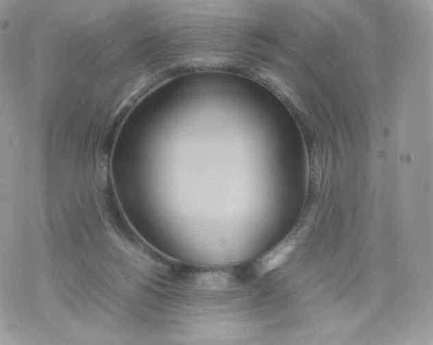 X0000074930168200609291806