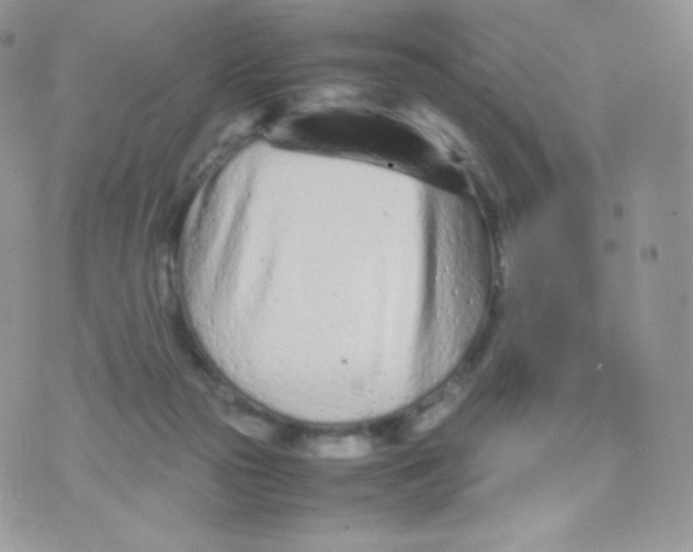 X0000074930169200609291806