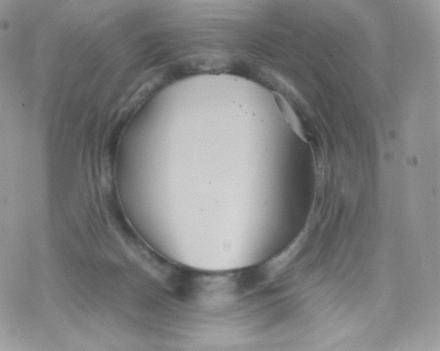 X0000074930170200609291806