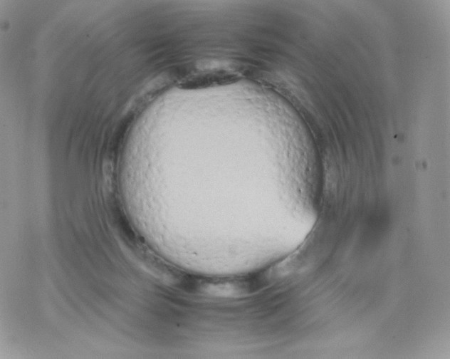 X0000074930171200609291806