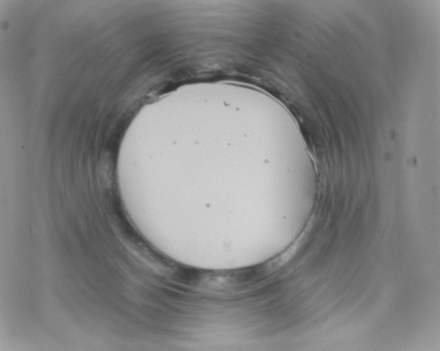 X0000074930174200609291806