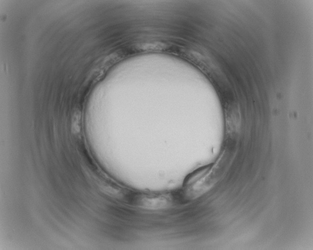 X0000074930175200609291806