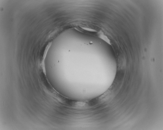 X0000074930176200609291806