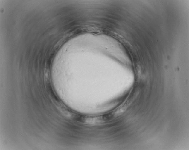 X0000074930177200609291806