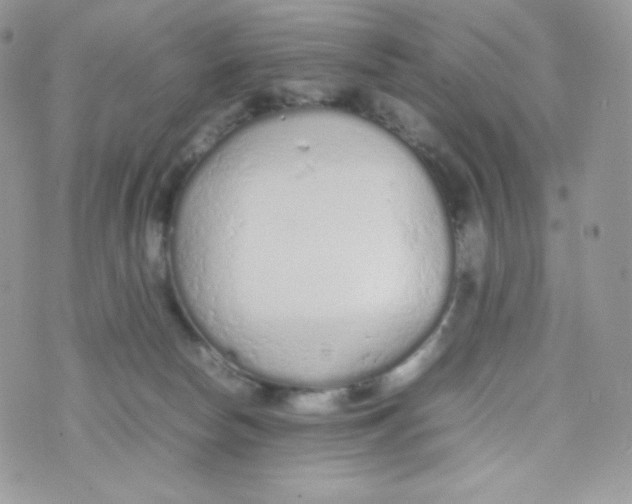 X0000074930178200609291806