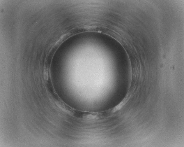 X0000074930180200609291806