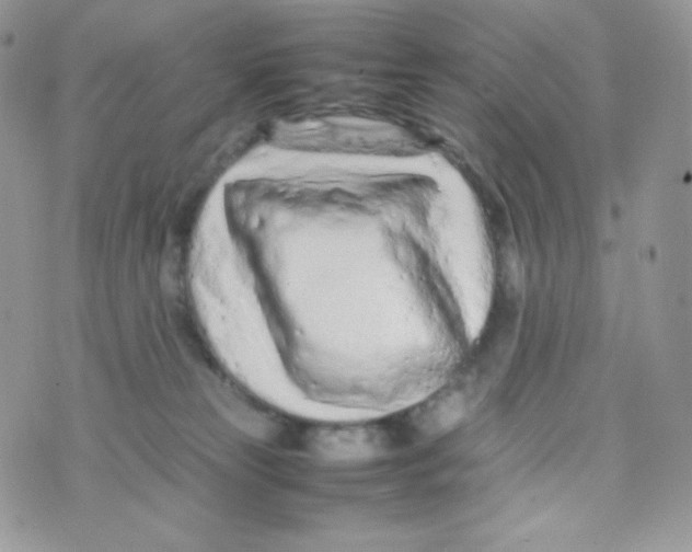 X0000074930181200609291806