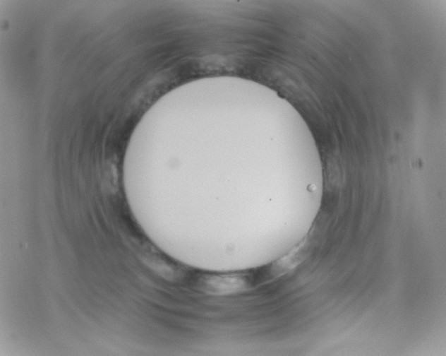 X0000074930183200609291806