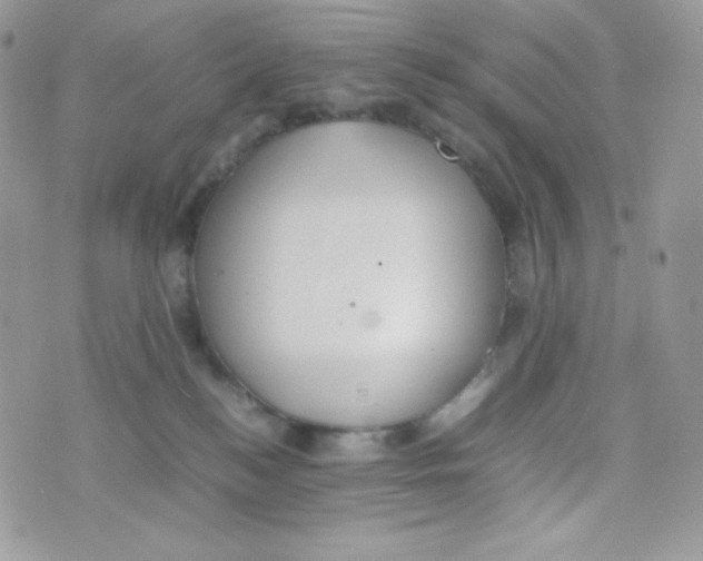 X0000074930184200609291806