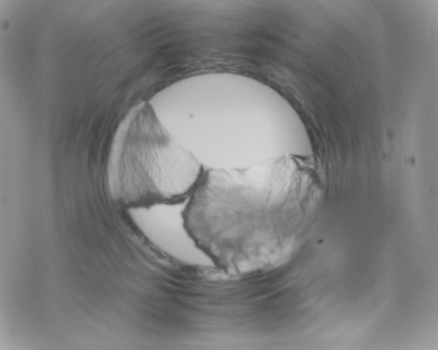 X0000074930185200609291806