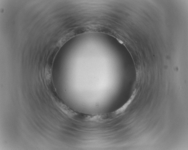 X0000074930186200609291806