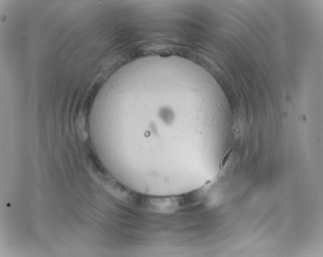 X0000074930187200609291806