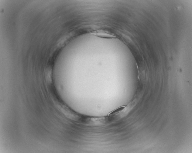 X0000074930188200609291806