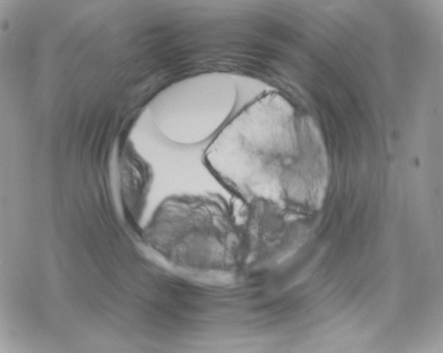 X0000074930189200609291806