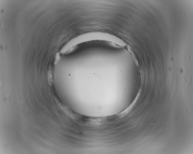 X0000074930190200609291806