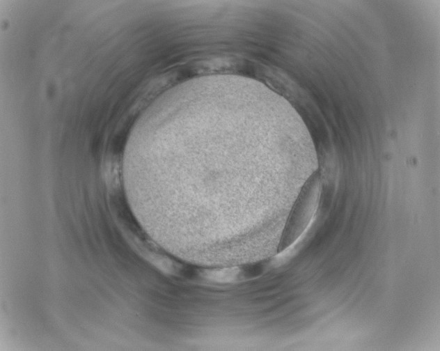 X0000074930191200609291806