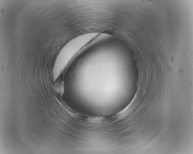 X0000074930192200609291806