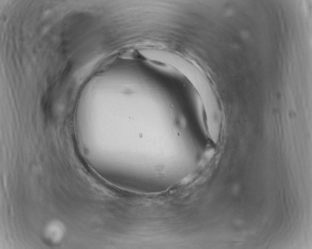 X0000074930193200609291806