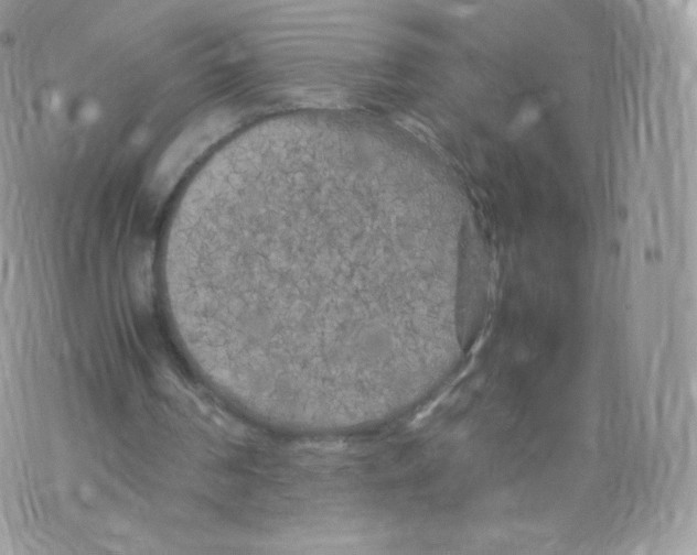 X0000074930194200609291806