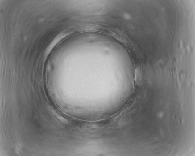 X0000074930195200609291806