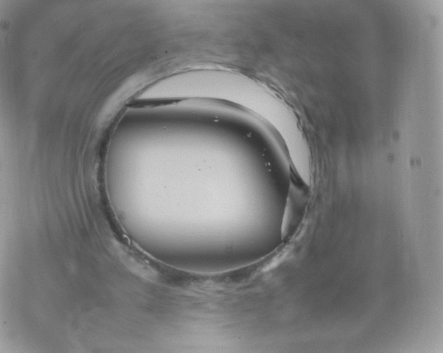 X0000074930197200609291806