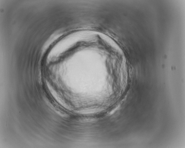 X0000074930198200609291806