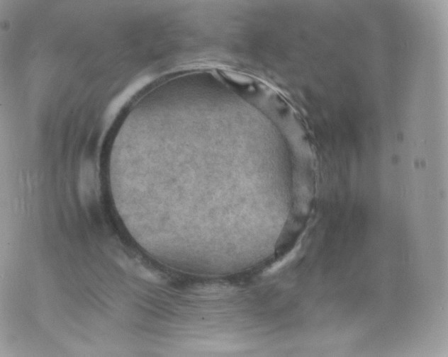 X0000074930200200609291805