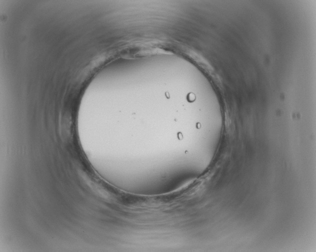 X0000074930201200609291805