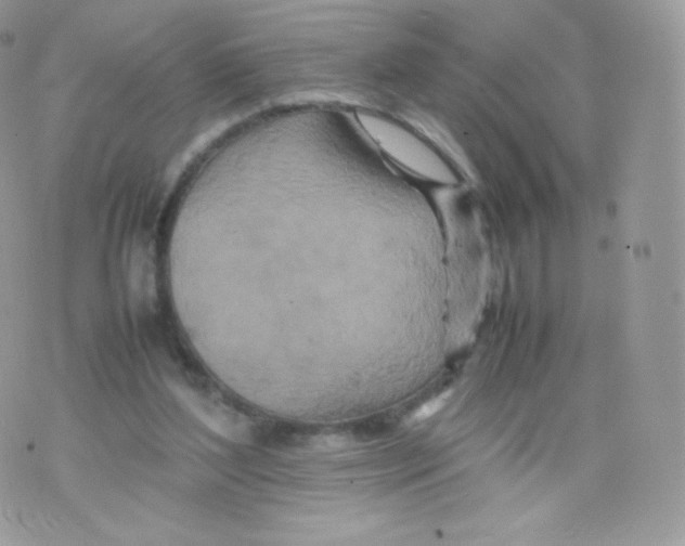 X0000074930204200609291805