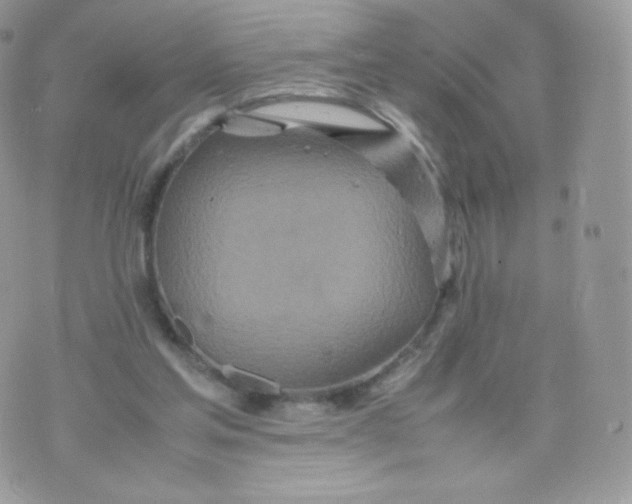 X0000074930205200609291805