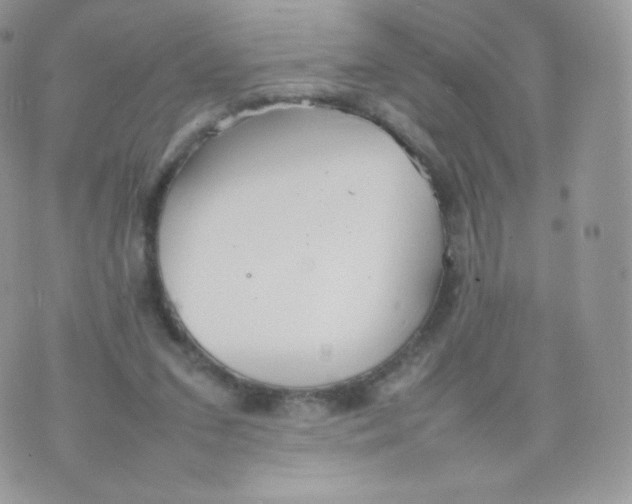 X0000074930207200609291805