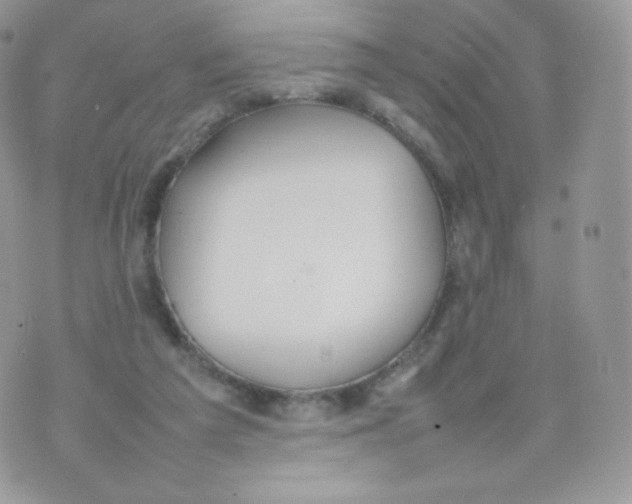 X0000074930209200609291805