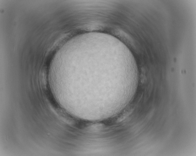 X0000074930210200609291805