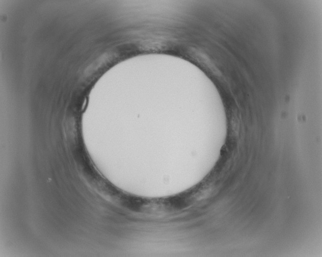 X0000074930211200609291805