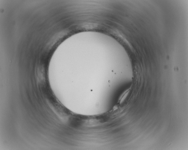 X0000074930212200609291805