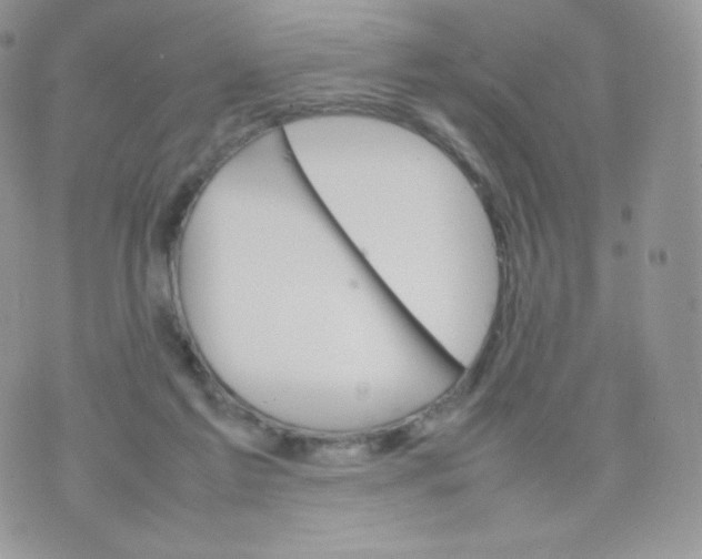 X0000074930213200609291805