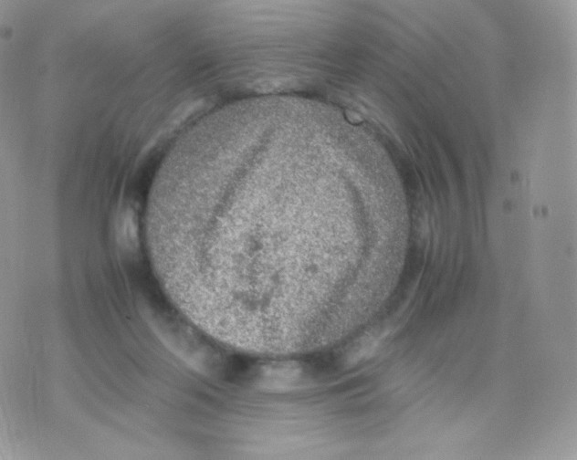 X0000074930214200609291805